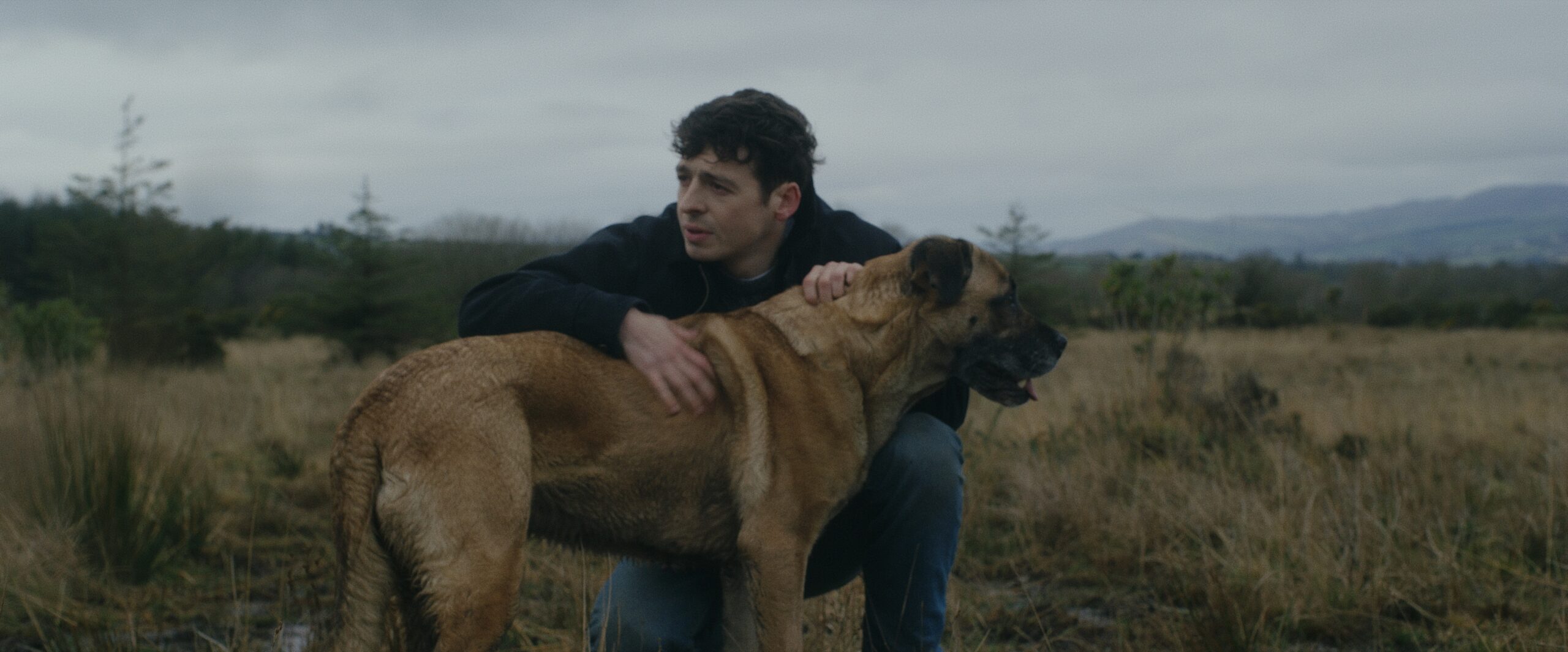 Still 2026-02-23 221206_1.1.12