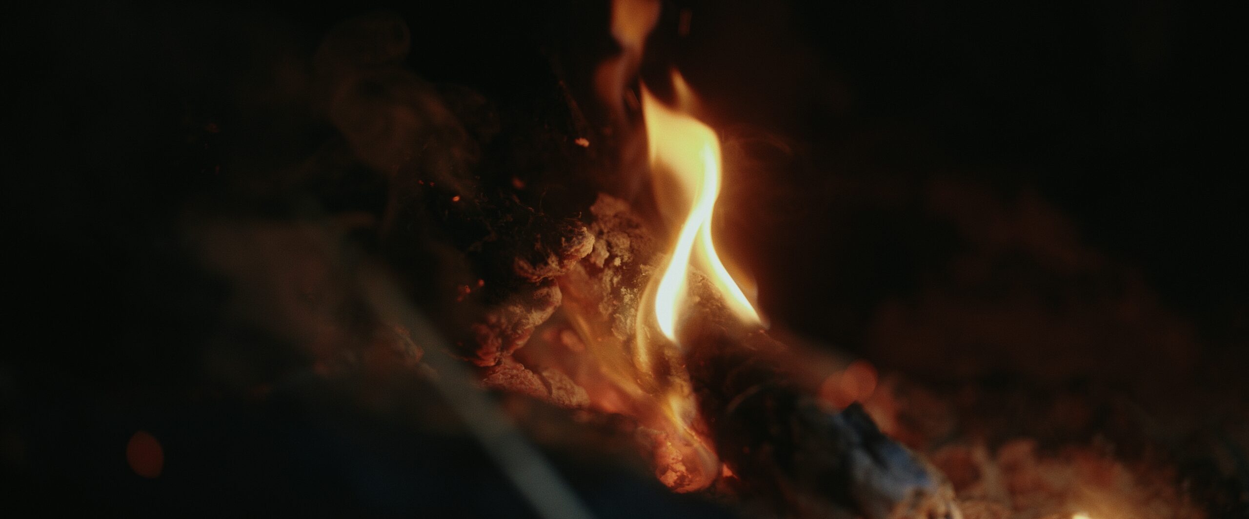 Still 2026-02-23 221206_1.1.16