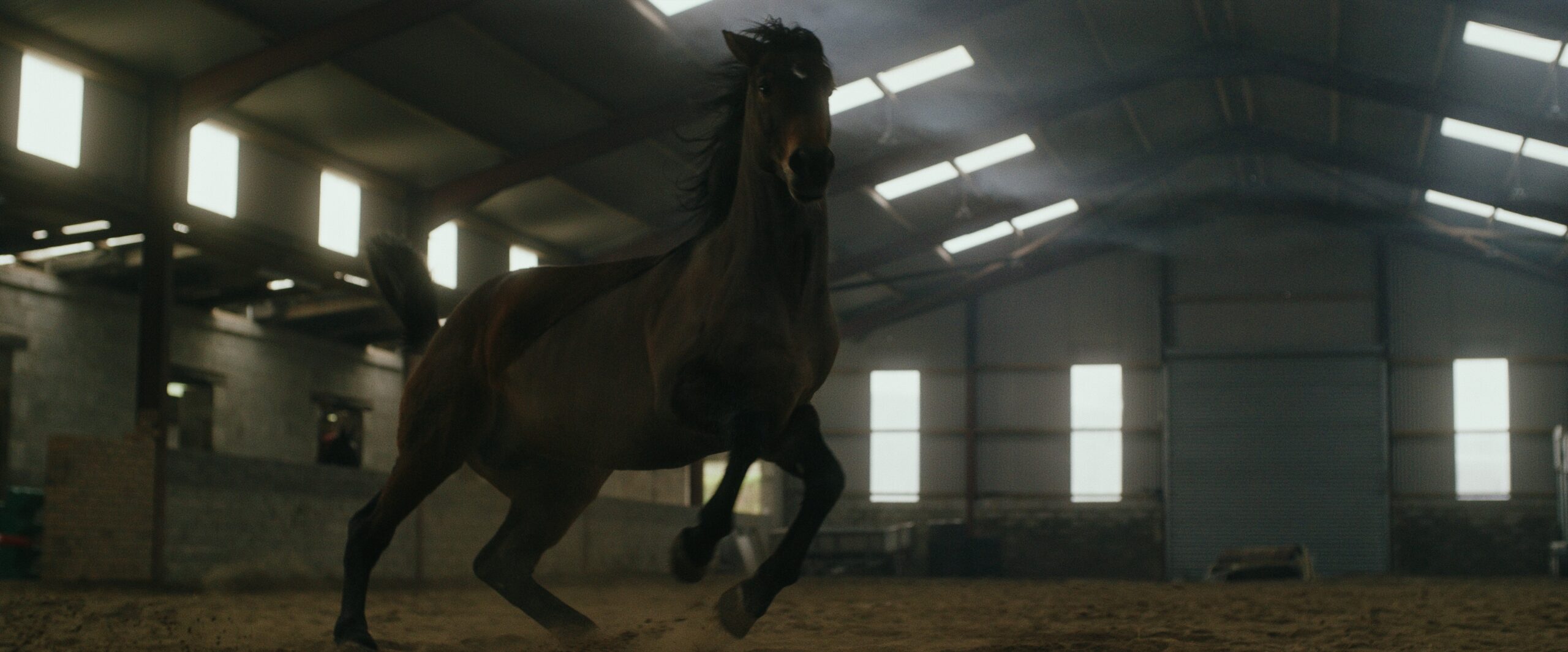 Still 2026-02-23 221206_1.1.24