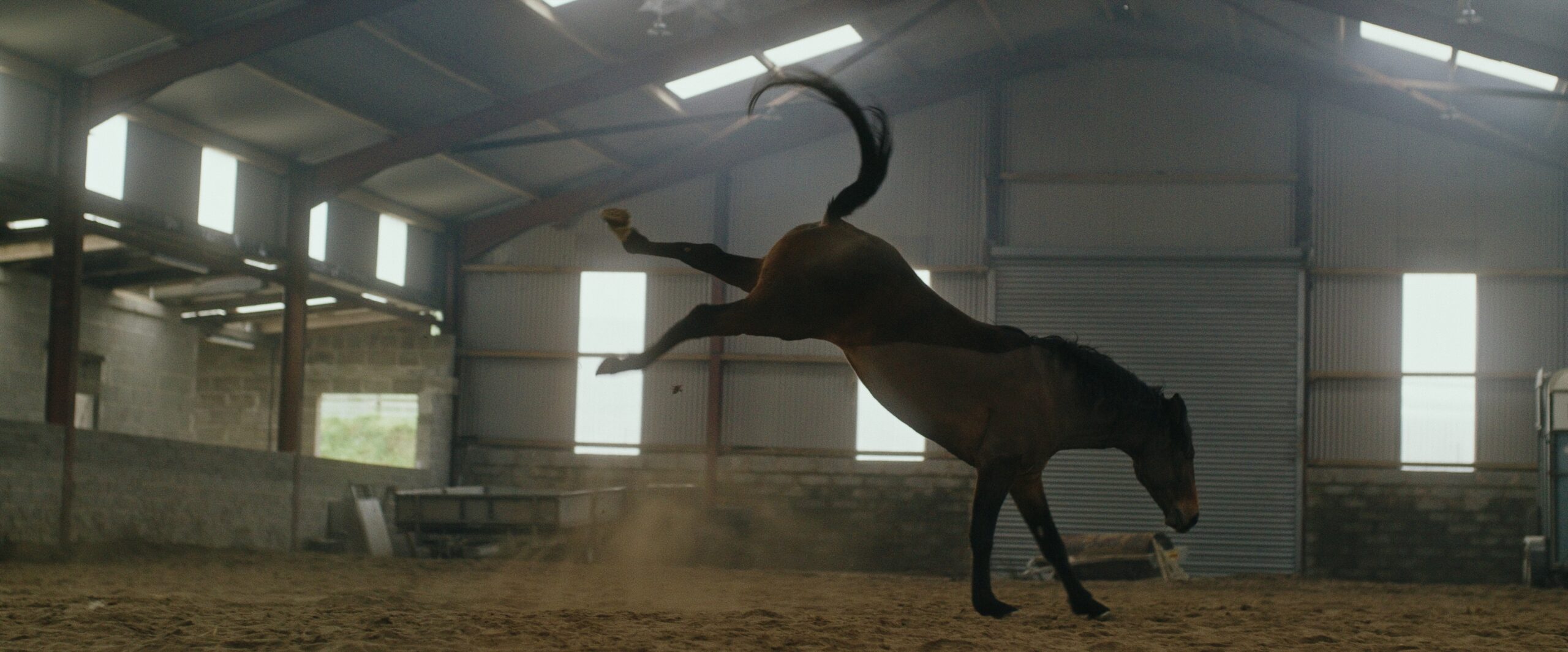 Still 2026-02-23 221206_1.1.27