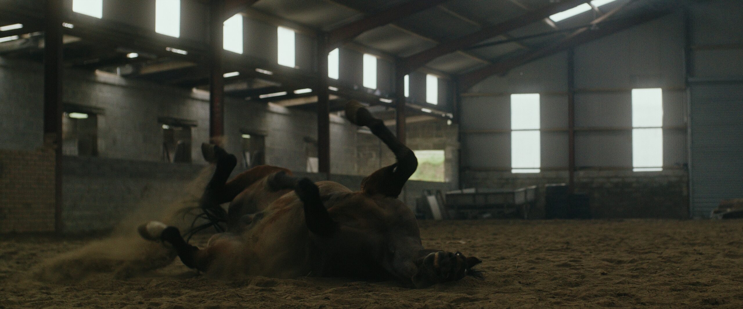 Still 2026-02-23 221206_1.1.28