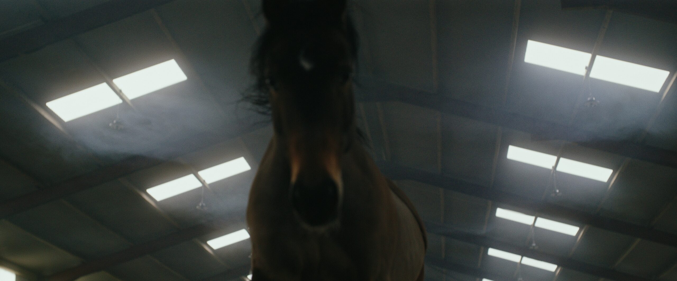 Still 2026-02-23 221206_1.1.29