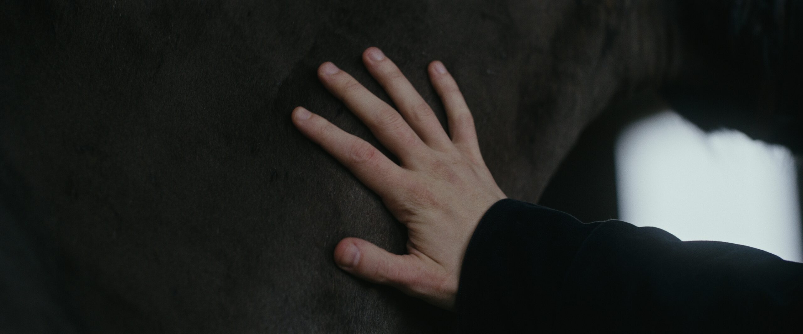 Still 2026-02-23 221206_1.1.33