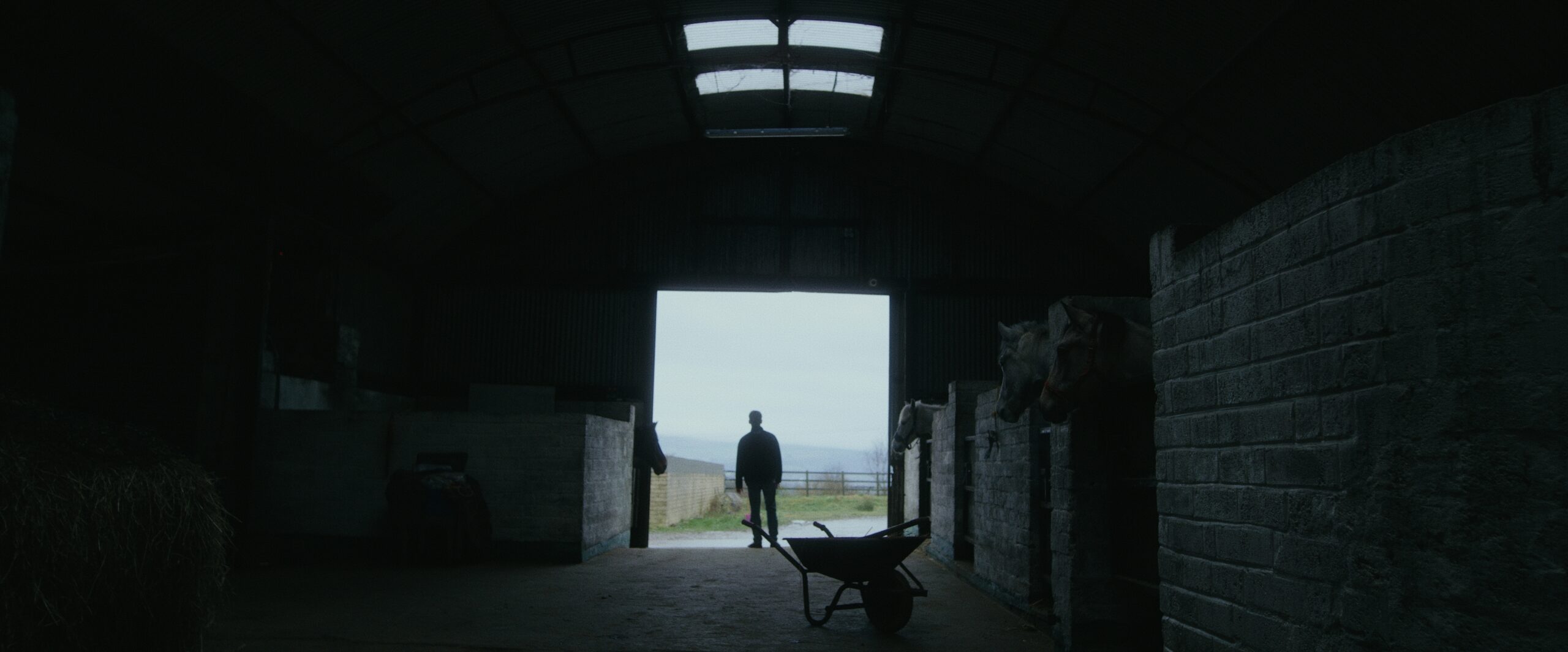 Still 2026-02-23 221206_1.1.7