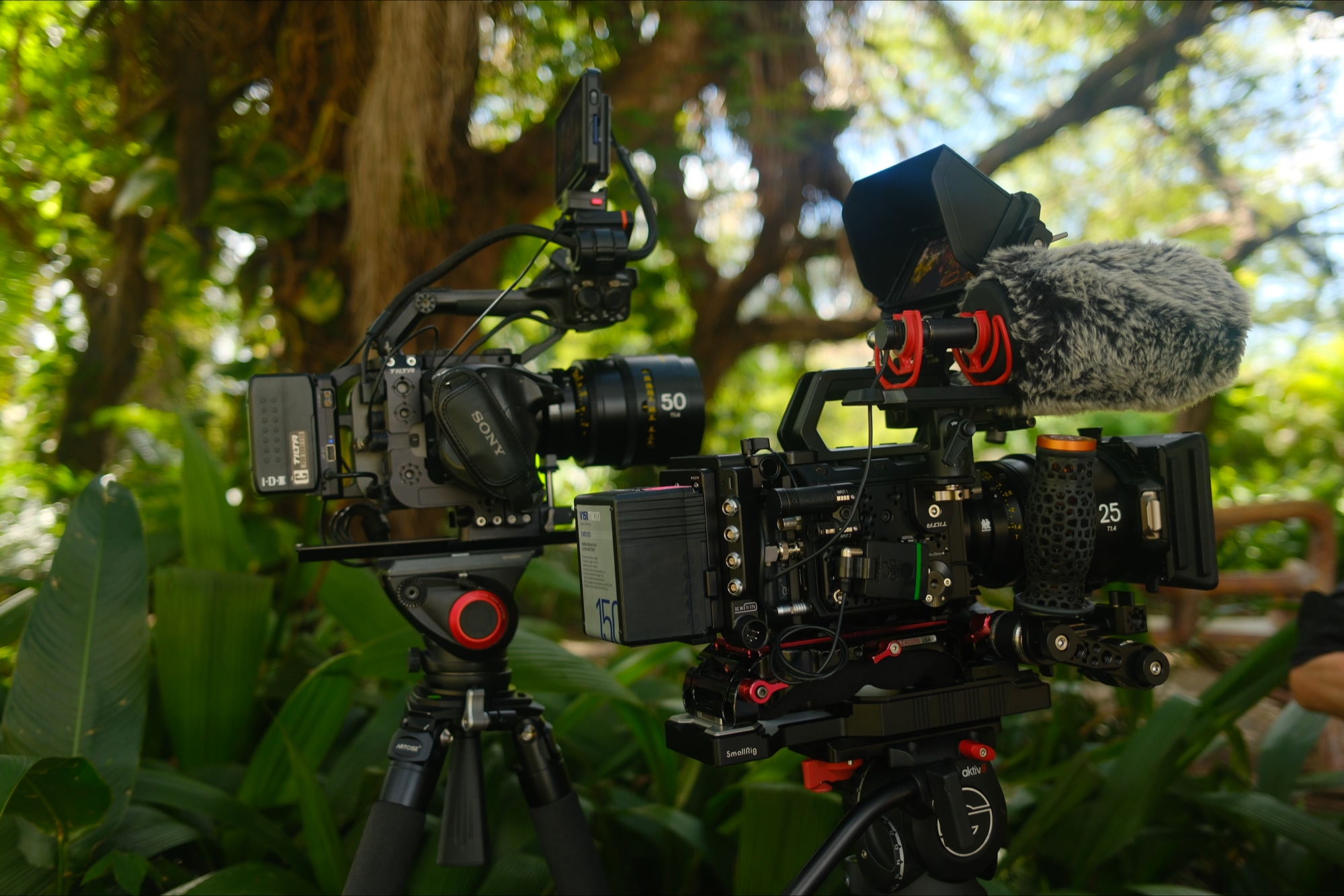 About-Islander-Films – 17