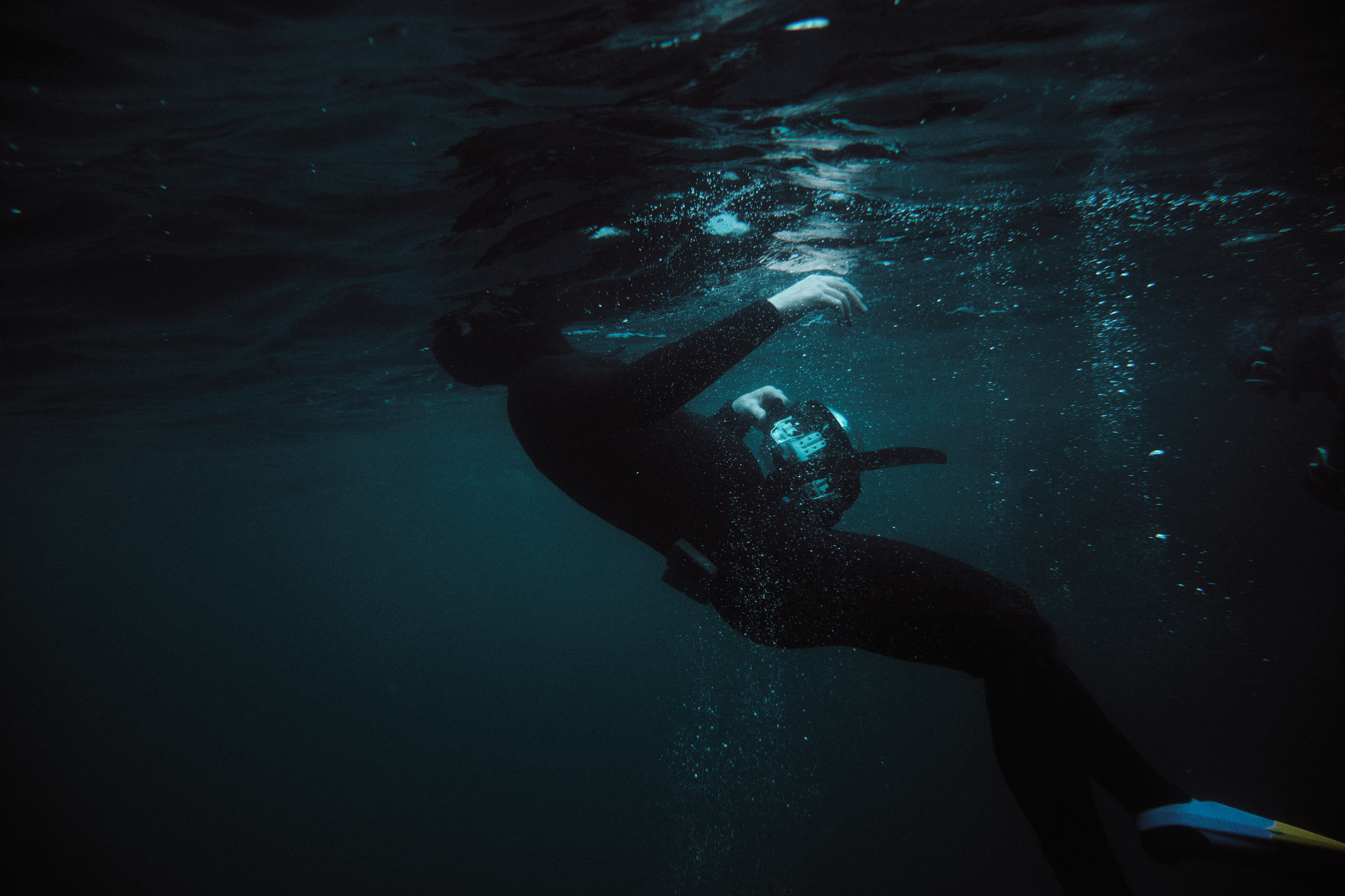 Johnny-Frazer-{Freedive-160525-UW}-489